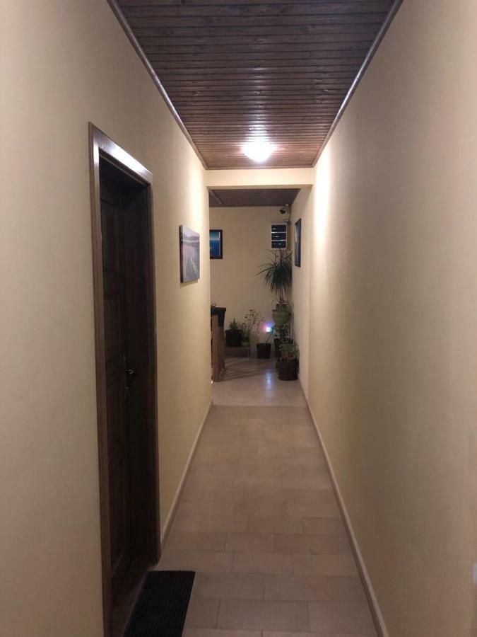 图尔恰 Casa Adelmar酒店 外观 照片